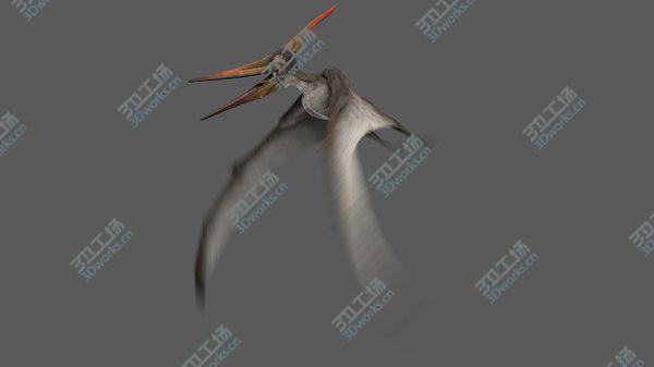 images/goods_img/20210312/3D model Pteranodon Longiceps Gray Animated/3.jpg